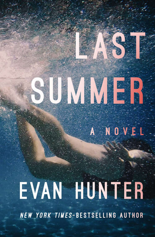 Book cover of Last Summer: A Novel