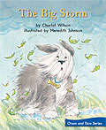 Book cover of The Big Storm (Fountas & Pinnell LLI Green: Level F, Lesson 69)
