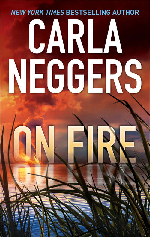 Book cover of On Fire
