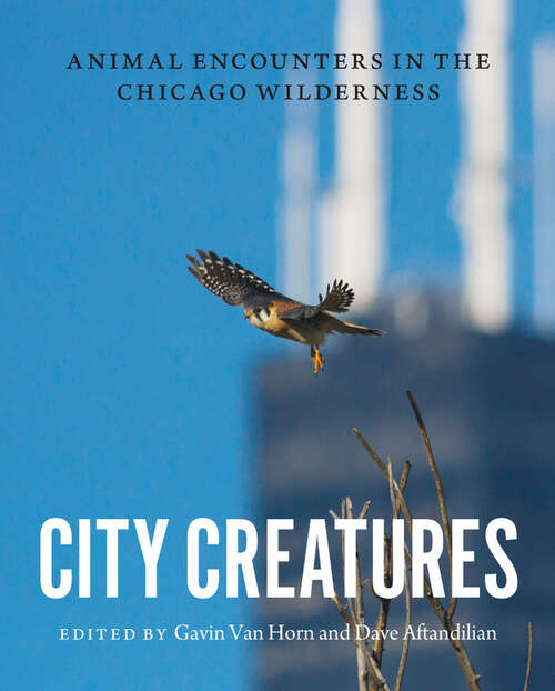 Book cover of City Creatures: Animal Encounters in the Chicago Wilderness