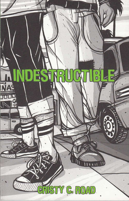 Book cover of Indestructible