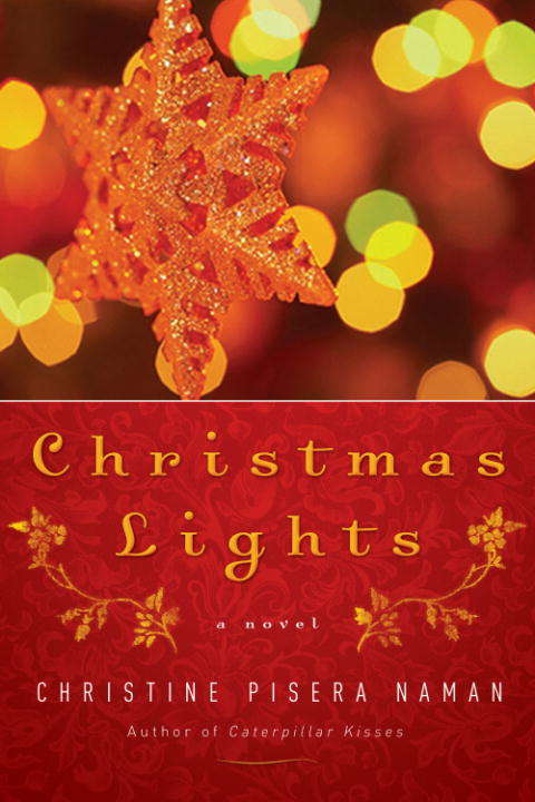 Book cover of Christmas Lights