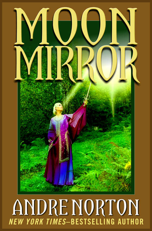 Book cover of Moon Mirror: A Collection of Stories