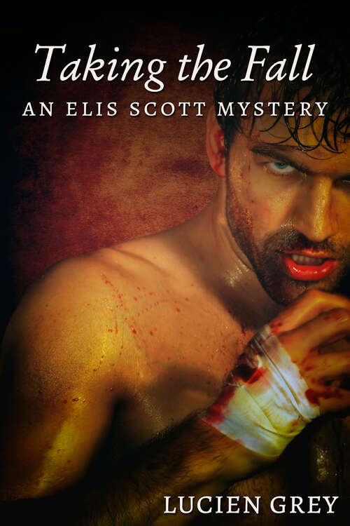 Book cover of Taking the Fall