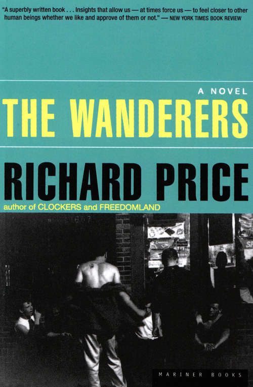 The Wanderers: A Novel (Bloomsbury Classic Reads Ser.)