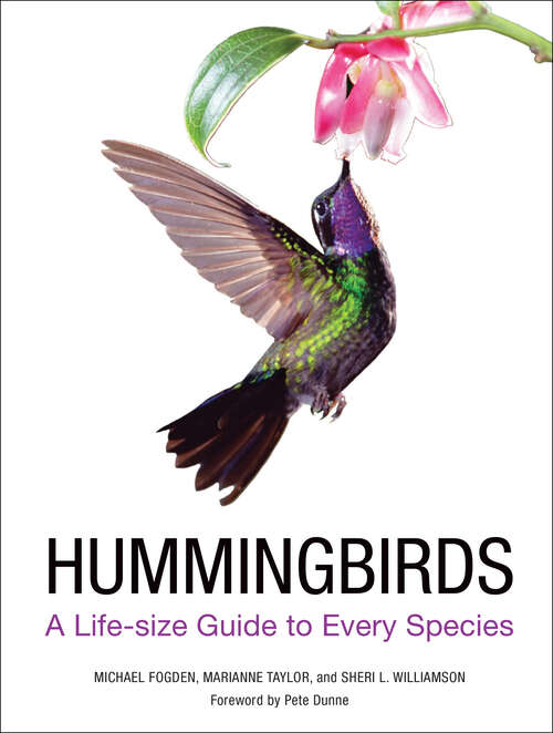Book cover of Hummingbirds: A Life-size Guide to Every Species