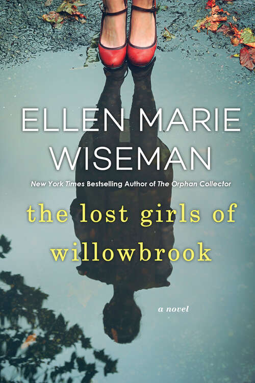 Book cover of The Lost Girls of Willowbrook: A Heartbreaking Novel of Survival Based on True History