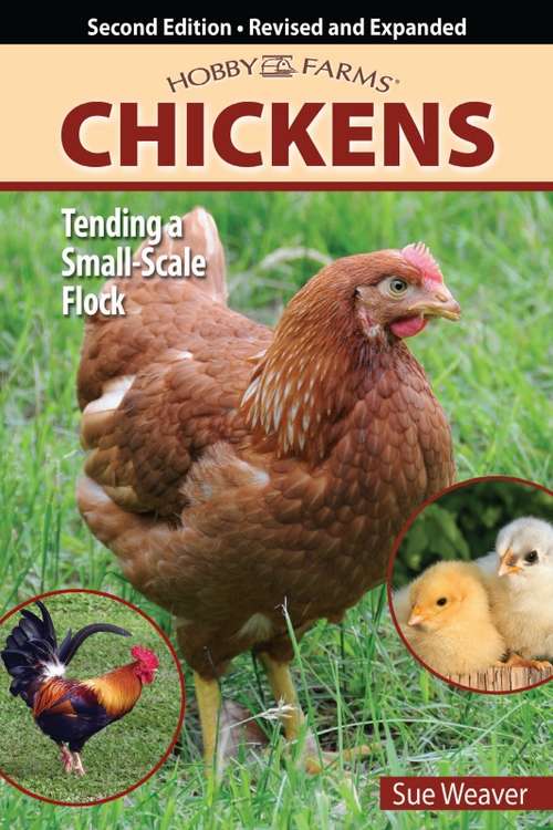 Book cover of Chickens