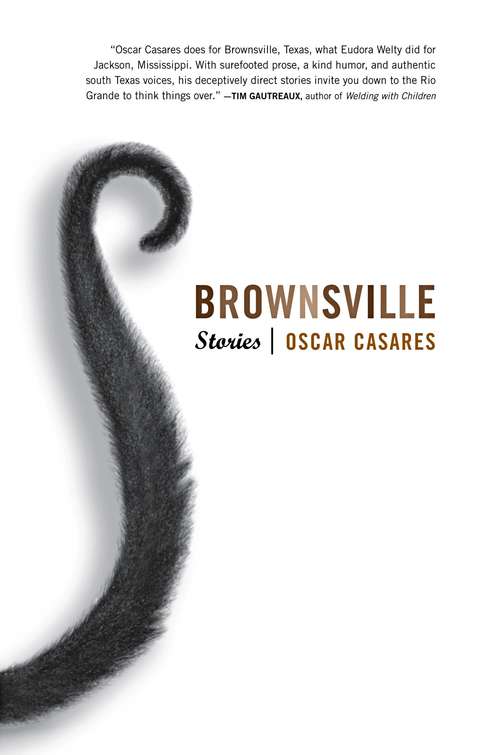 Book cover of Brownsville