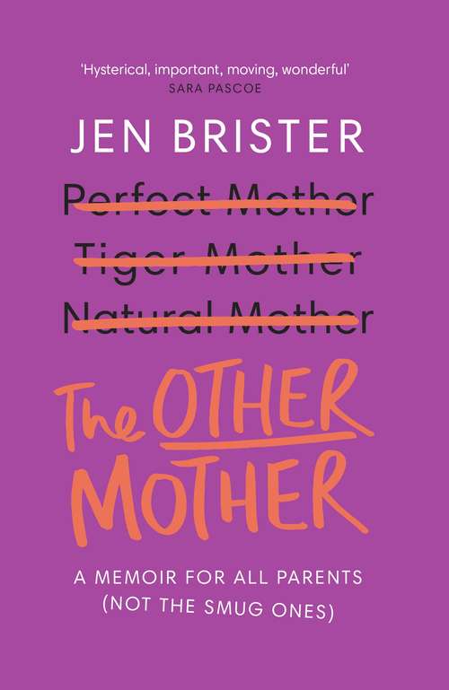 Book cover of The Other Mother: A wickedly honest parenting tale for every kind of family
