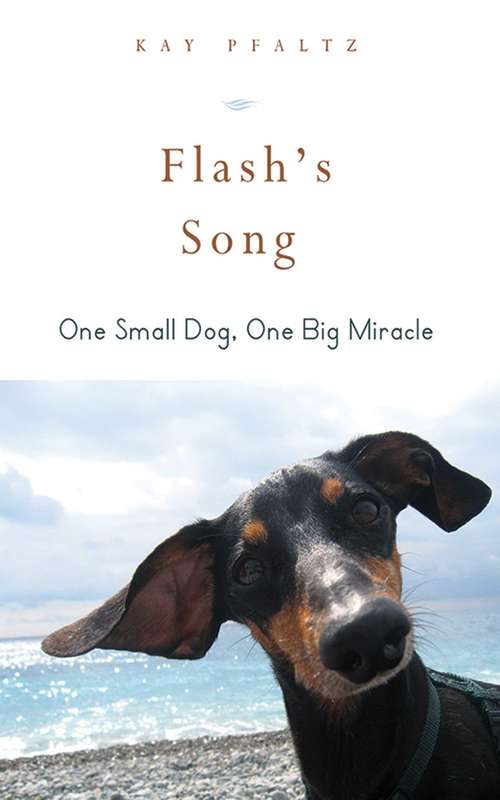 Book cover of Flash's Song