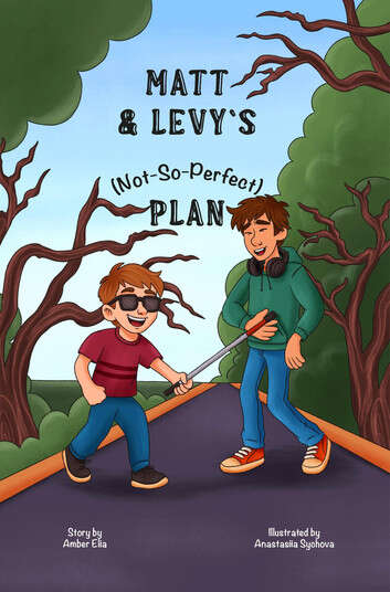Book cover of Matt & Levy`s (Not-So-Perfect) PLan