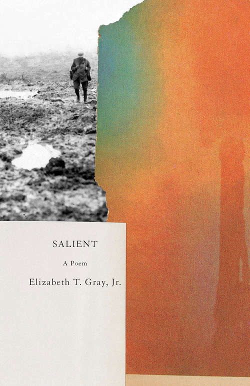Book cover of Salient