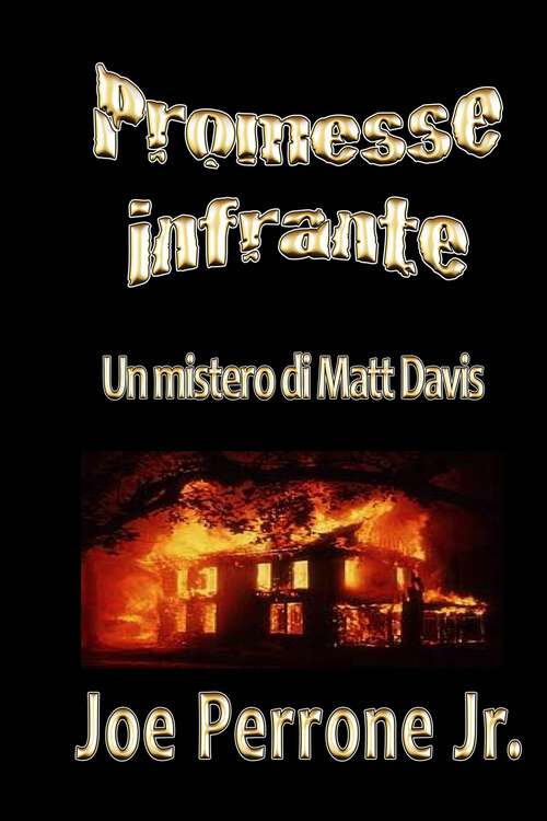 Book cover of Promesse infrante