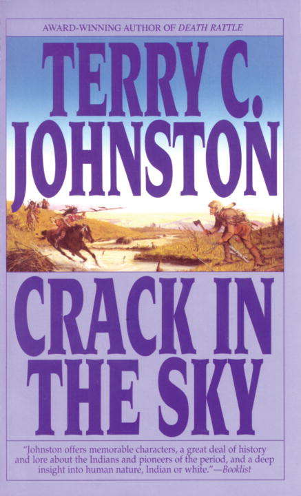 Book cover of Crack in the Sky