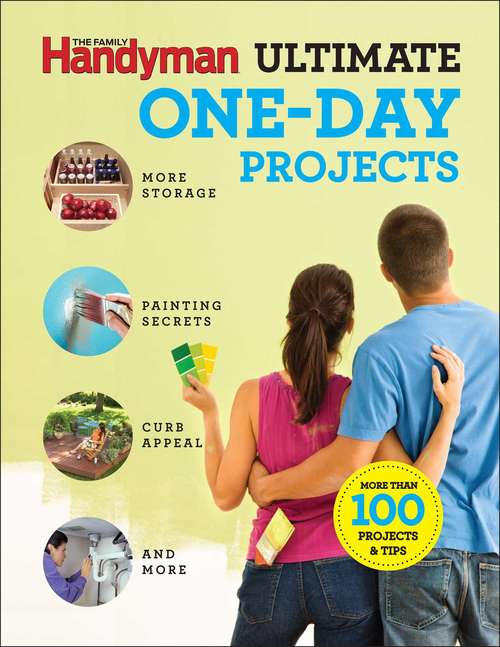 Book cover of Family Handyman Ultimate 1-Day Projects