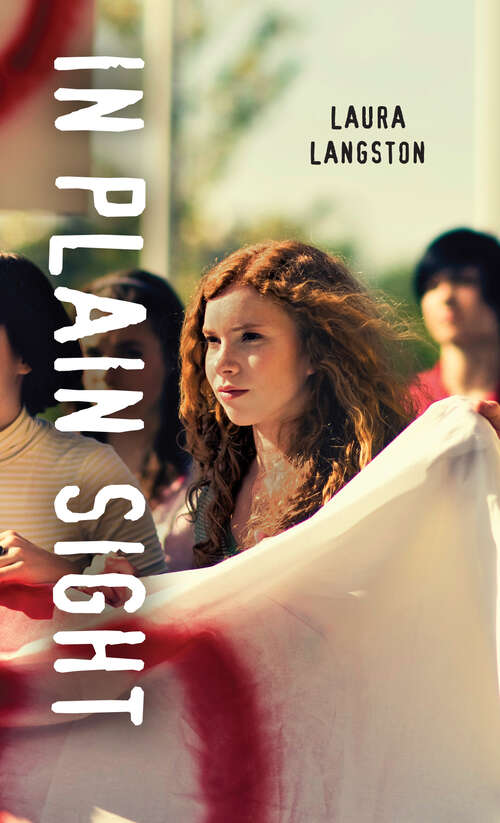 Book cover of In Plain Sight (Orca Soundings)