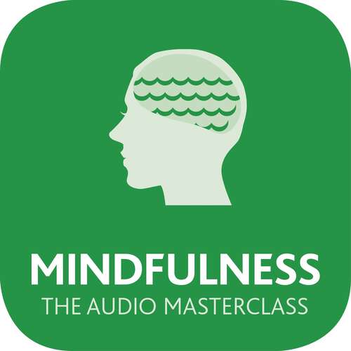 Book cover of Mindfulness: The Comprehensive Guide to Mindful Practice