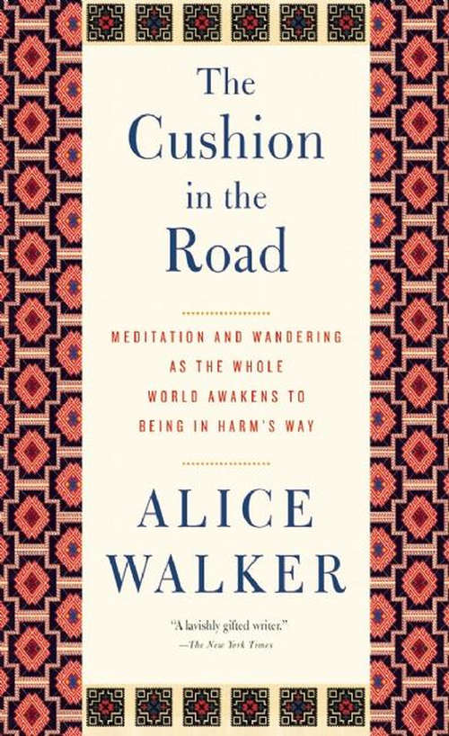Book cover of The Cushion in the Road