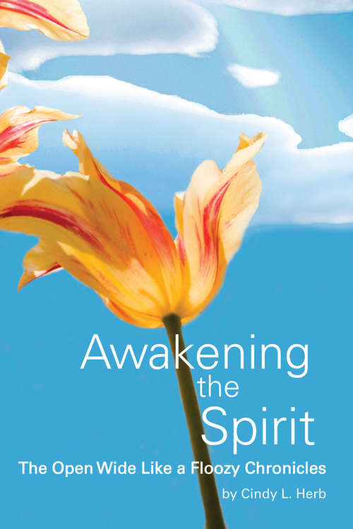 Book cover of Awakening the Spirit: The Open Wide Like a Floozy Chronicles (Awakening The Spirit Ser.)