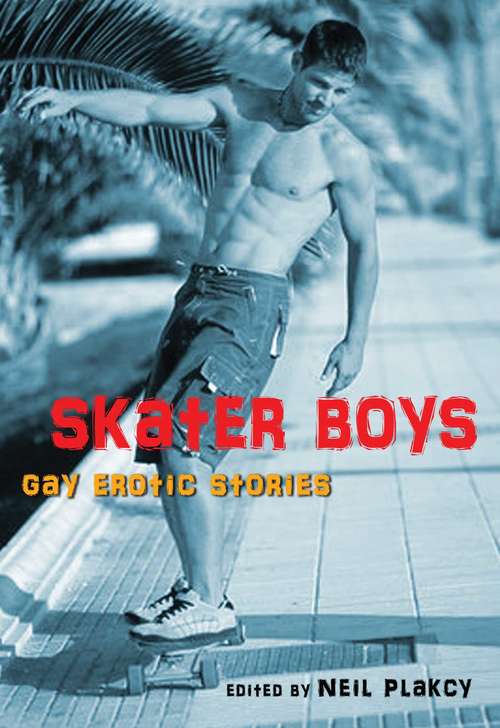Book cover of Skater Boys