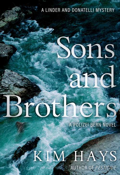 Book cover of Sons and Brothers