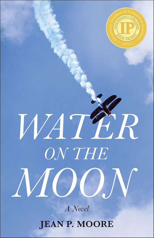 Book cover of Water on the Moon: A Novel