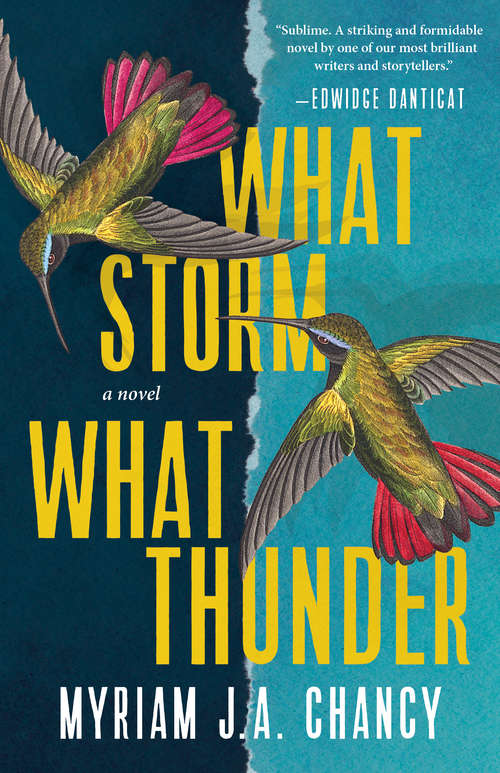 Book cover of What Storm, What Thunder: A Novel