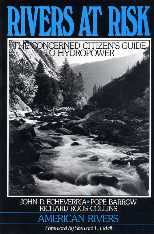 Rivers at Risk: Concerned Citizen's Guide To Hydropower