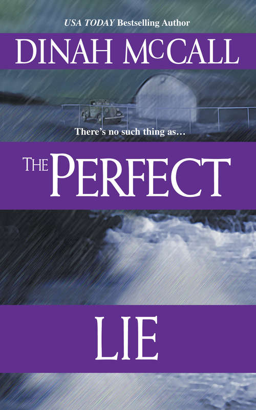 Book cover of The Perfect Lie