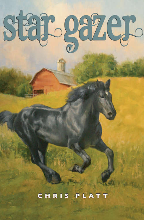 Book cover of Star Gazer (Digital Original)