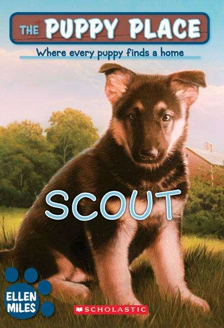 Book cover of Scout (The Puppy Place #7)
