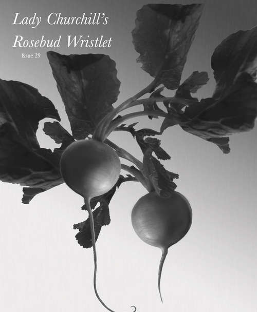 Book cover of Lady Churchill's Rosebud Wristlet No. 29