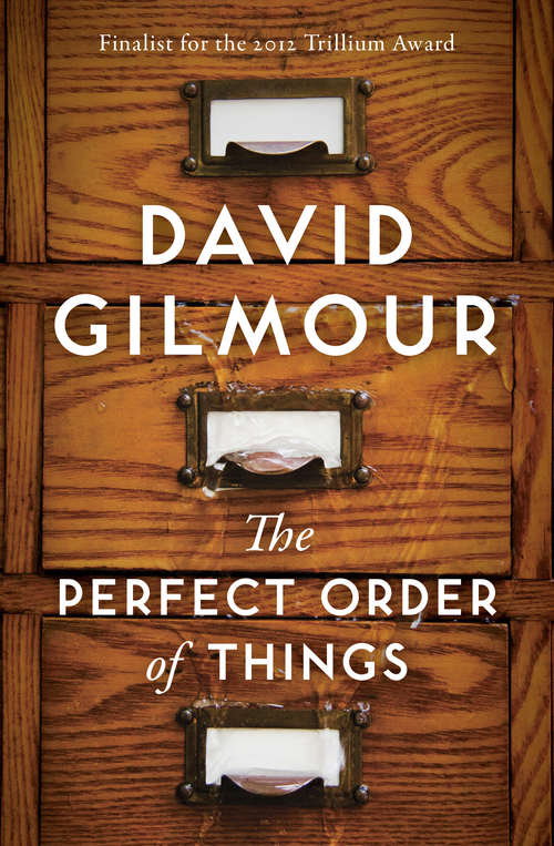 Book cover of The Perfect Order of Things: A Novel