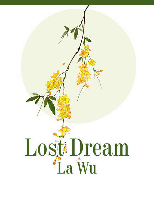 Book cover of Lost Dream: Volume 1 (Volume 1 #1)