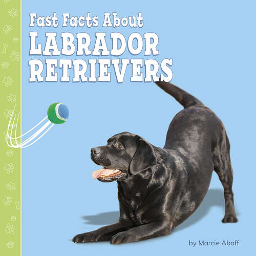Book cover of Fast Facts About Labrador Retrievers (Fast Facts About Dogs)