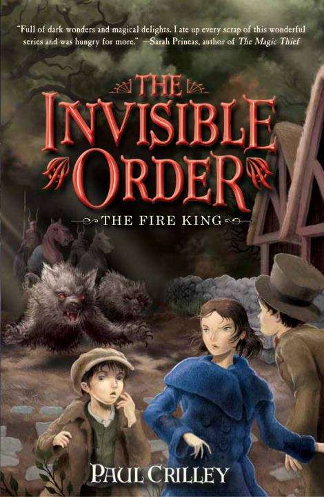 Book cover of Invisible Order Book 2 Fire King