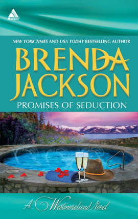 Book cover of Promises of Seduction