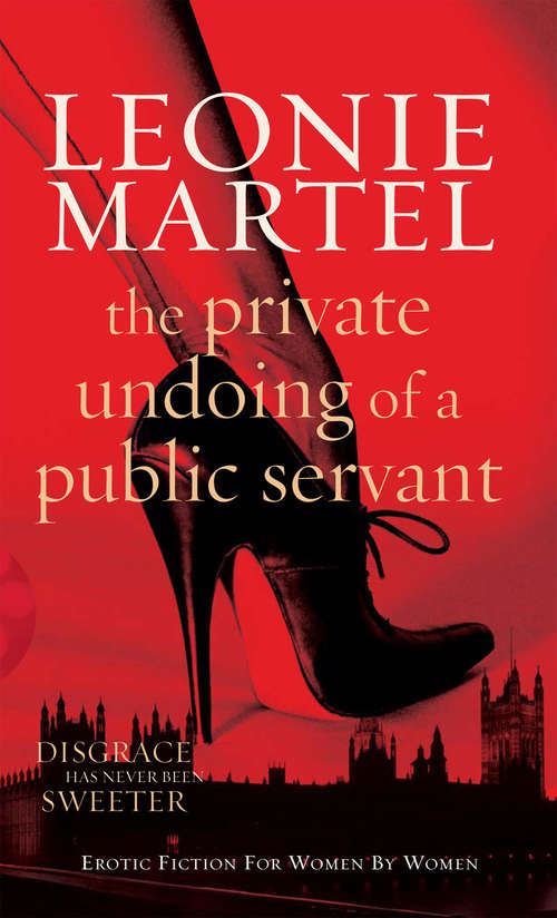 Book cover of The Private Undoing of a Public Servant