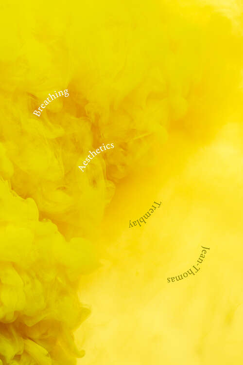 Book cover of Breathing Aesthetics