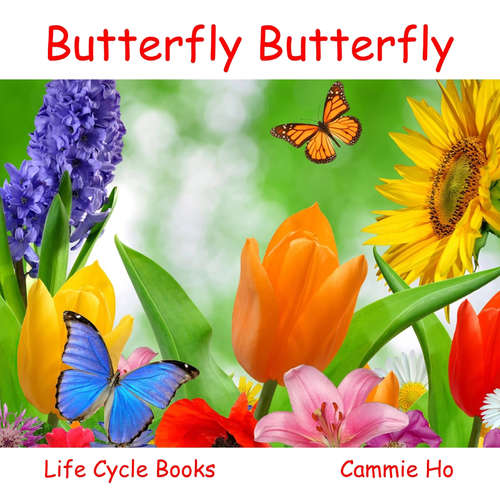 Book cover of Butterfly Butterfly