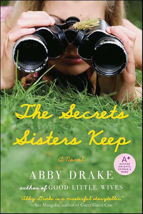 Book cover of The Secrets Sisters Keep: A Novel