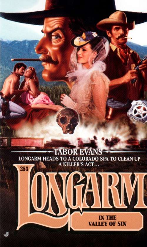 Book cover of Longarm in the Valley of Sin (Longarm #253)