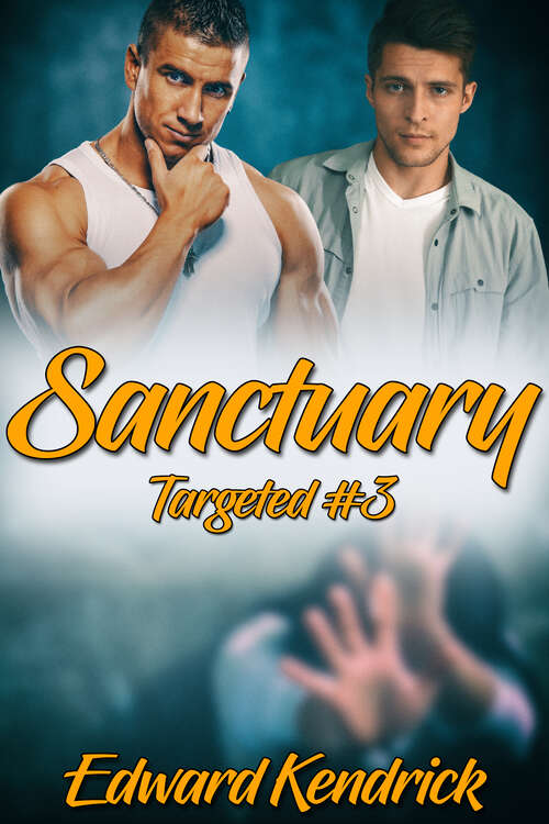 Book cover of Sanctuary