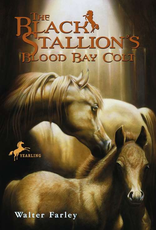 Book cover of The Black Stallion's Blood Bay Colt (Black Stallion)