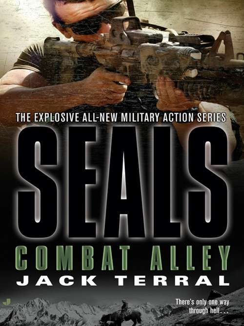 Book cover of Seals: Combat Alley