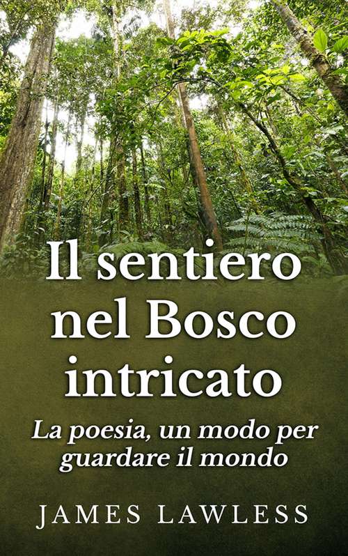 Book cover of Il Sentiero Nel Bosco Intricato