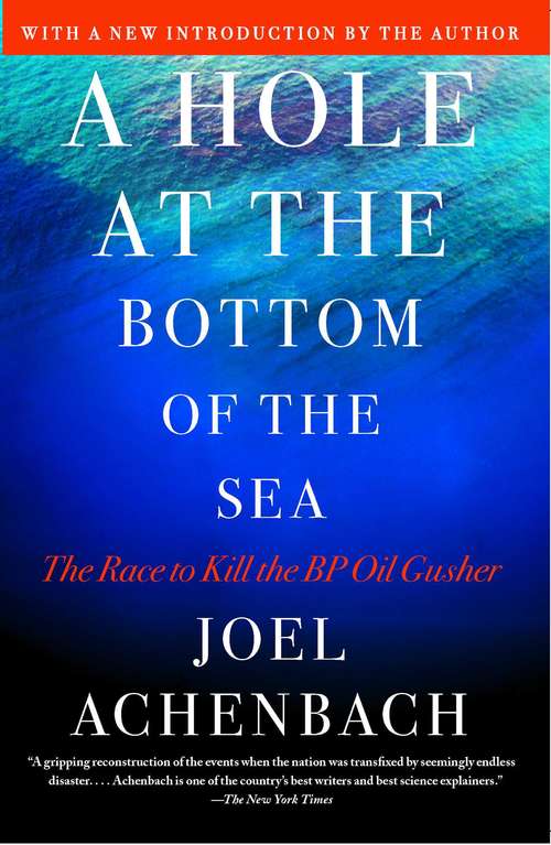 Book cover of A Hole at the Bottom of the Sea: The Race to Kill the BP Oil Gusher