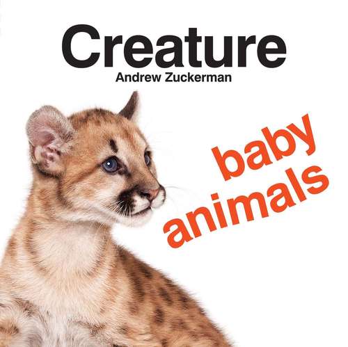 Book cover of Creature Baby Animals