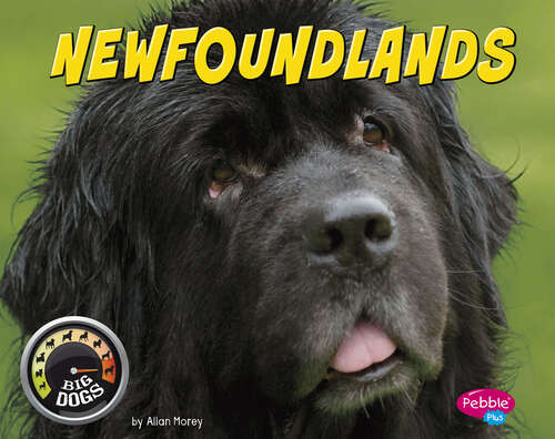 Newfoundlands (Big Dogs Ser.)